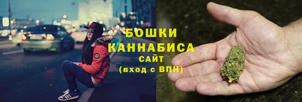 мдпв Лагань