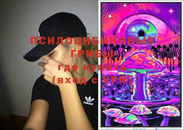 прущий лед Ладушкин