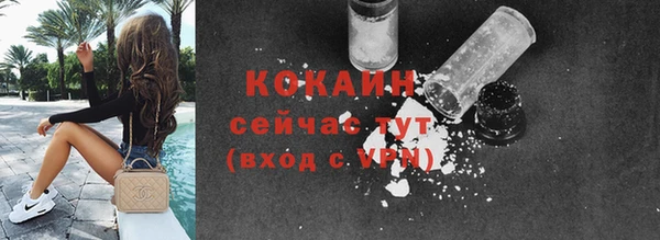 мдпв Лагань