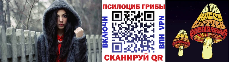 Псилоцибиновые грибы GOLDEN TEACHER  купить наркотики цена  Шадринск 